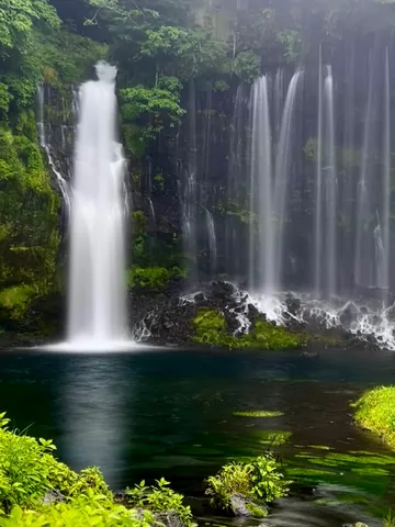 水と緑の静かな滝景