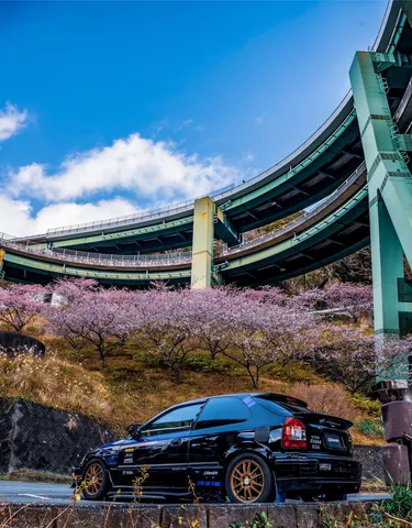 桜咲く高架下、愛車の春景色