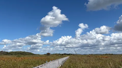 風を渡る木道と雲景色
