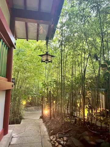 竹林と灯りの小道