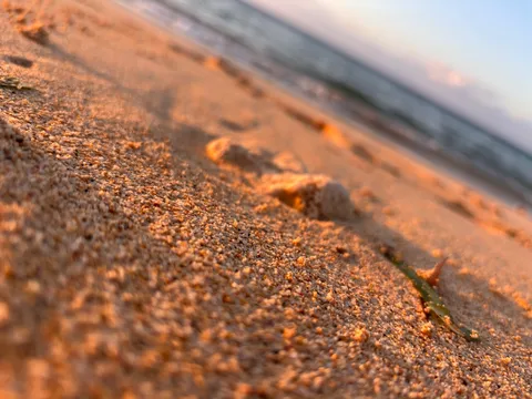 夕暮れの砂浜の囁き