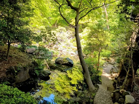 水面に映る緑が美しい静寂の庭園
