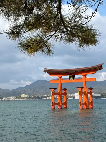 鳥居さん、水遊びですか？