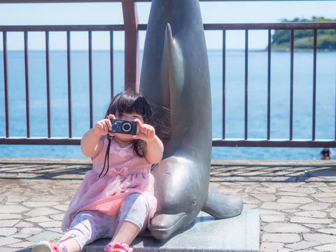海辺の小さなカメラマン