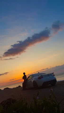 夕暮れの海辺、相棒との時間