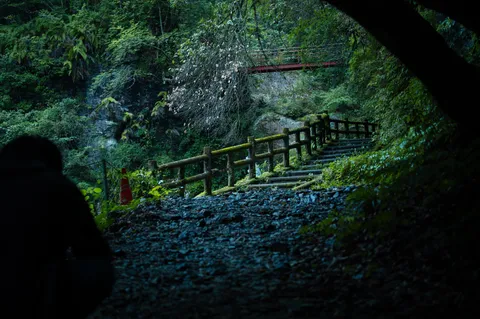 緑深き、苔むす小道