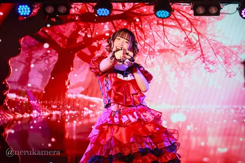 視線を誘う紅色の舞