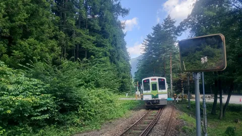 森と線路を抜ける小さな列車