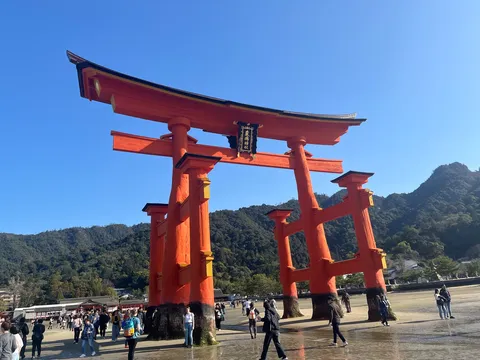 威風堂々、朱色の大鳥居