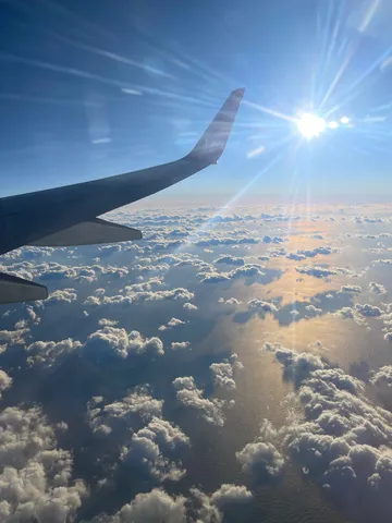 飛行機からの海