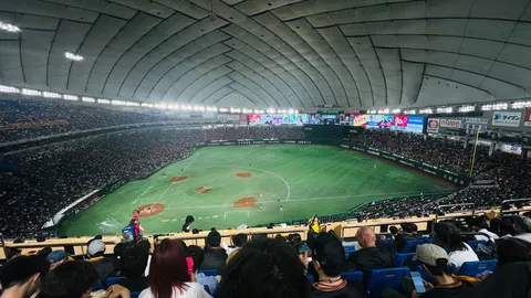 野球ドーム、熱狂のパノラマ