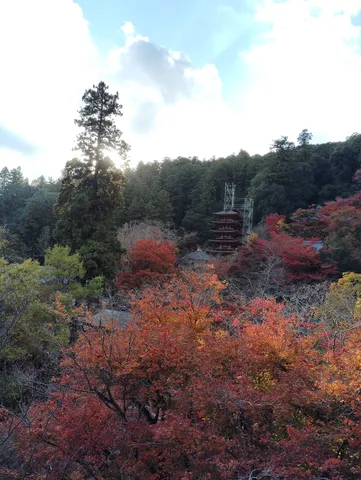 彩られた古刹の紅葉