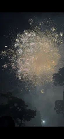 夜空に咲く、儚い光の華