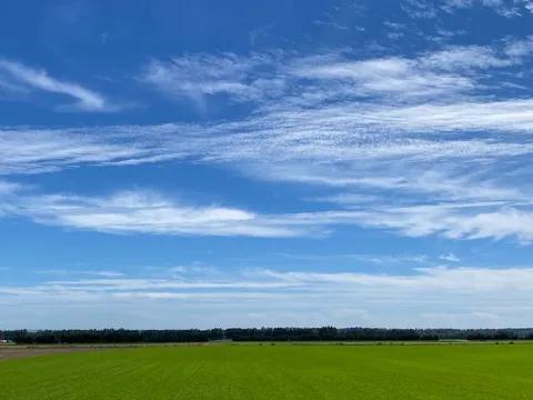 空と緑のコントラスト