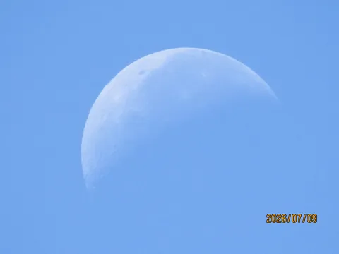 淡く浮かぶ月、青空に映える