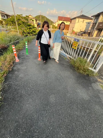 淡い光の散歩道