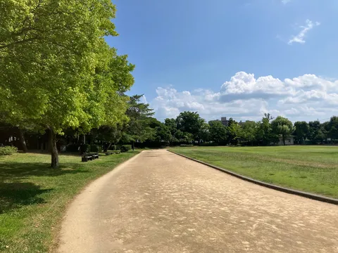 緑陰に誘われ、風薫る遊歩道