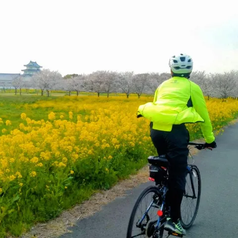 春風と菜の花、城へ続く道