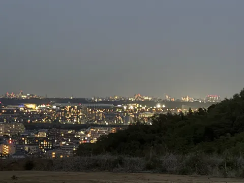 丘上に広がる夜景の余韻