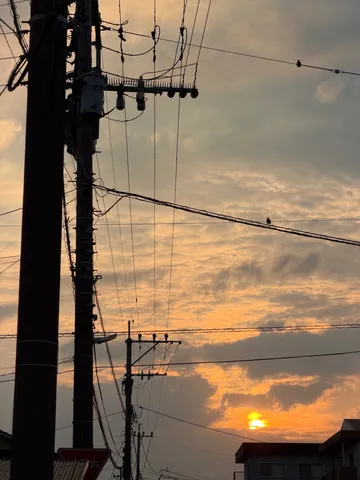 夕暮れの電線アート