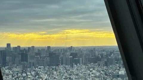 空からの夕焼けと街並み