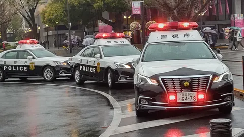 雨に映える警視庁パトカー隊