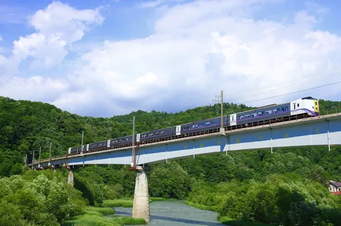 緑深まる渓谷を走る特急列車