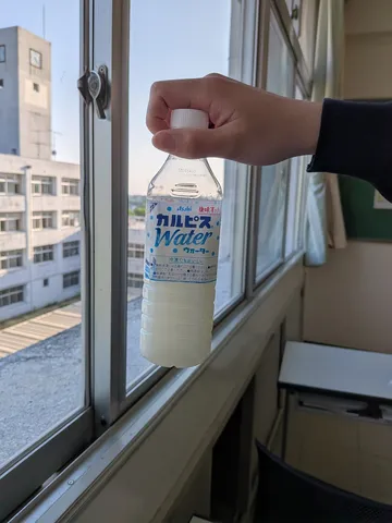窓辺のカルピス、空を飛ぶ！
