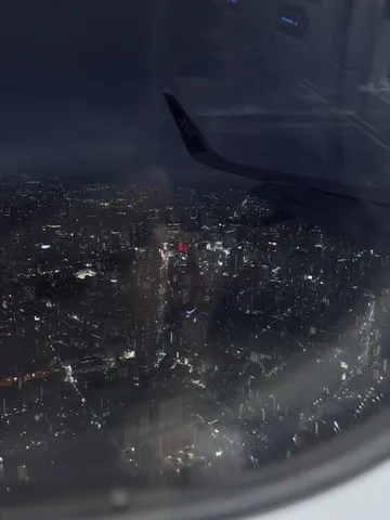 夜景と翼の瞬間