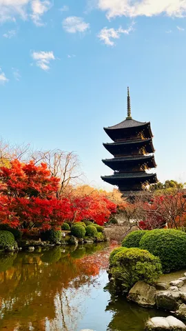 紅葉に囲まれ、塔もご満悦