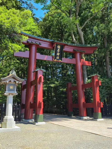 森に佇む鮮やかな鳥居
