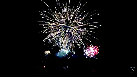 夜空に咲く、華麗なる光の花束