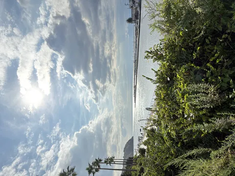 輝く水面と立ち並ぶ木々