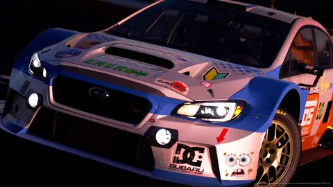 速さを秘めた、情熱のラリーカー
