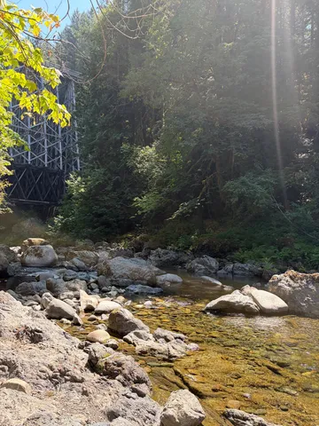 森林鉄道橋と渓流の静寂