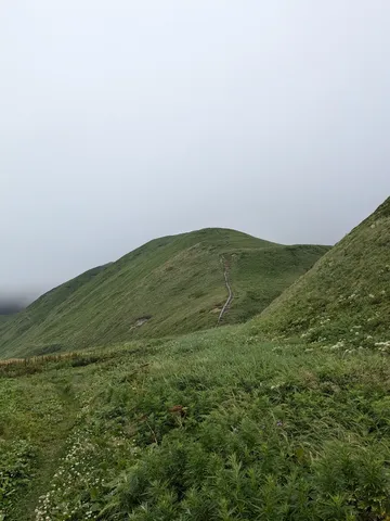 霧に包まれた山道の先