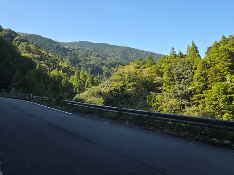 山