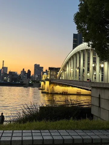 夕暮れを渡る白いアーチ