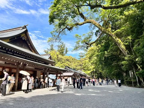 杜の参道と人の波