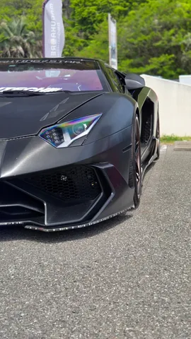 光を宿す漆黒の車体
