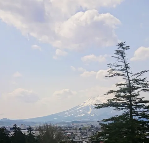 新緑の山と街並み