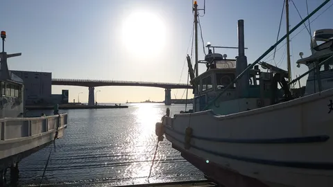 眩しすぎて、船も目線そらす？