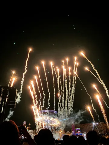 夜空に舞う光の軌跡