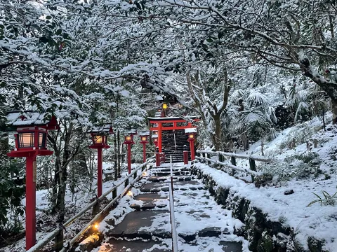 雪化粧の参道を照らす灯り