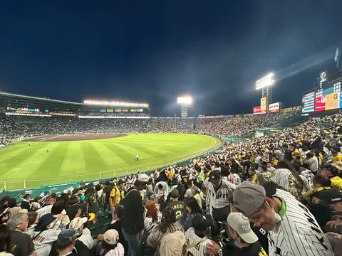 ナイター観戦、熱気あふれるスタンド