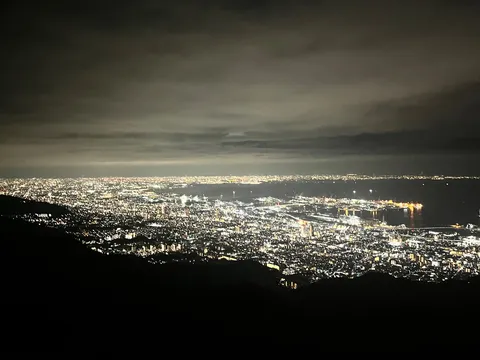 都会の灯りが海に溶ける夜景