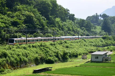 豊かな緑と列車の旅路