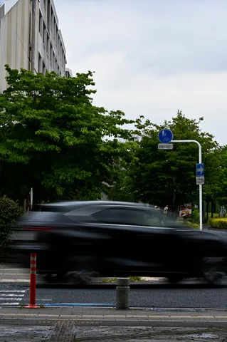 雨上がりの交差点、躍動する黒