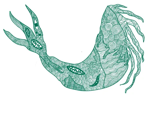 幻想的な深海生物