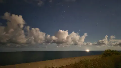 静寂の海に灯る星明かり